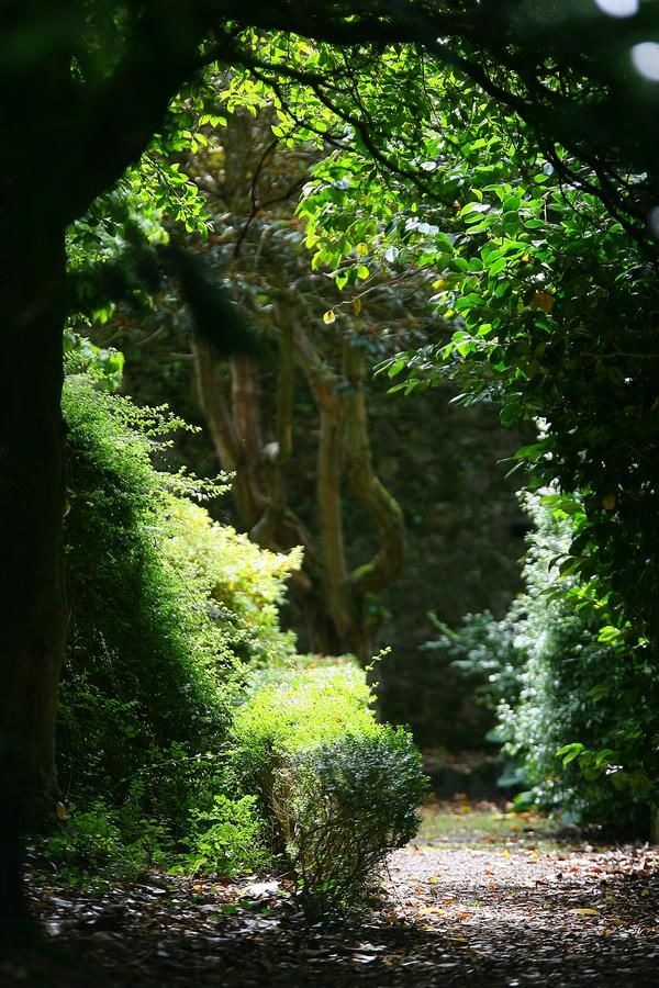 Отель The Dunloe Hotel & Gardens Килларни